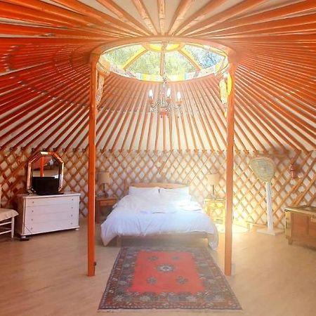 Eldorado Yurt Hotell Algarrobo Eksteriør bilde